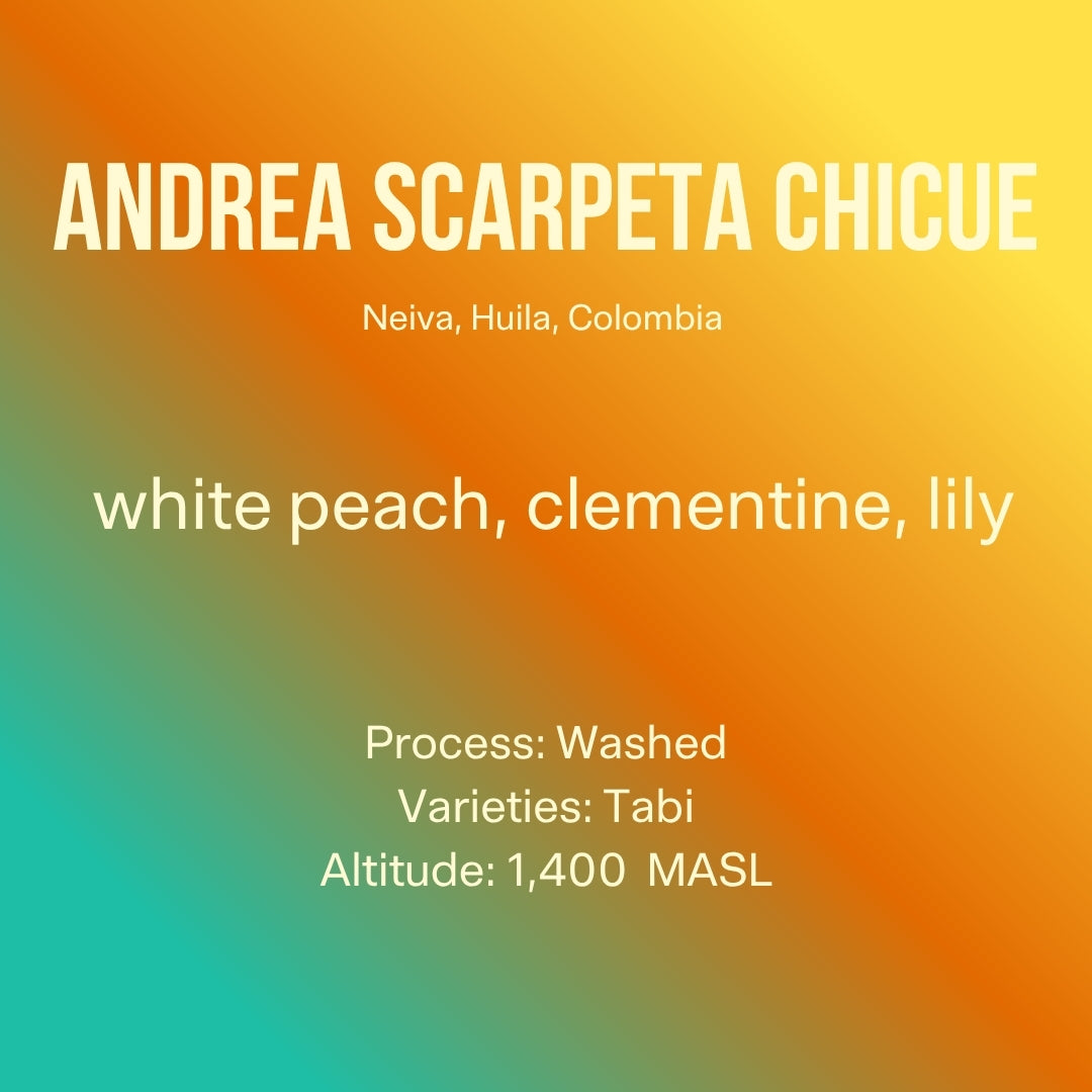 Photo of Andrea Scarpeta Chicue, Tabi Washed, Condor Huila Graduation Auction Third Place Winner- Colombia