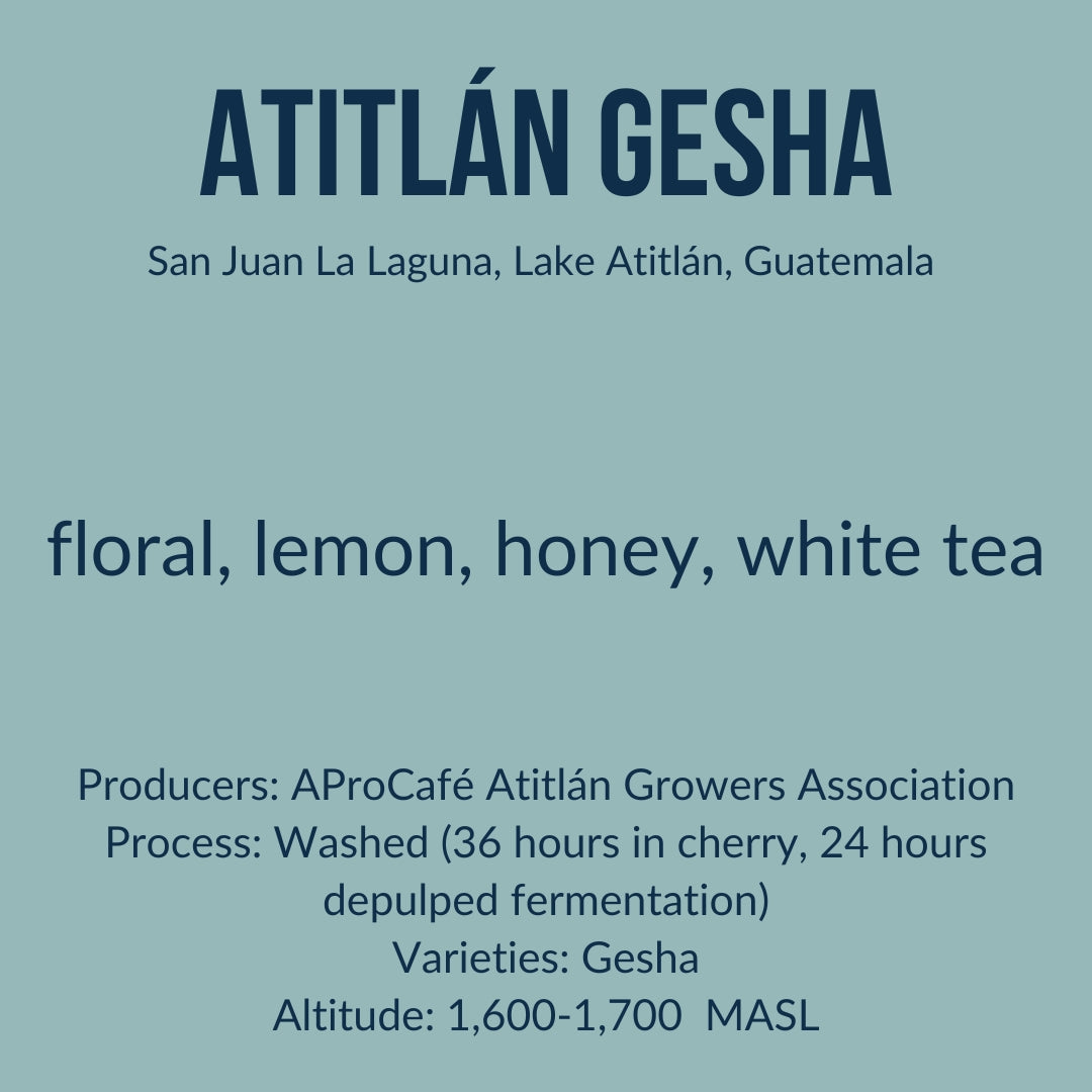 Photo of Atitlán - Gesha - Guatemala