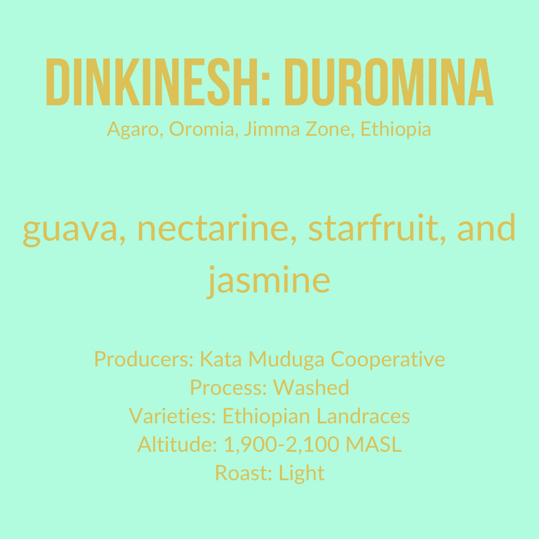 Photo of Dinkinesh: Duromina