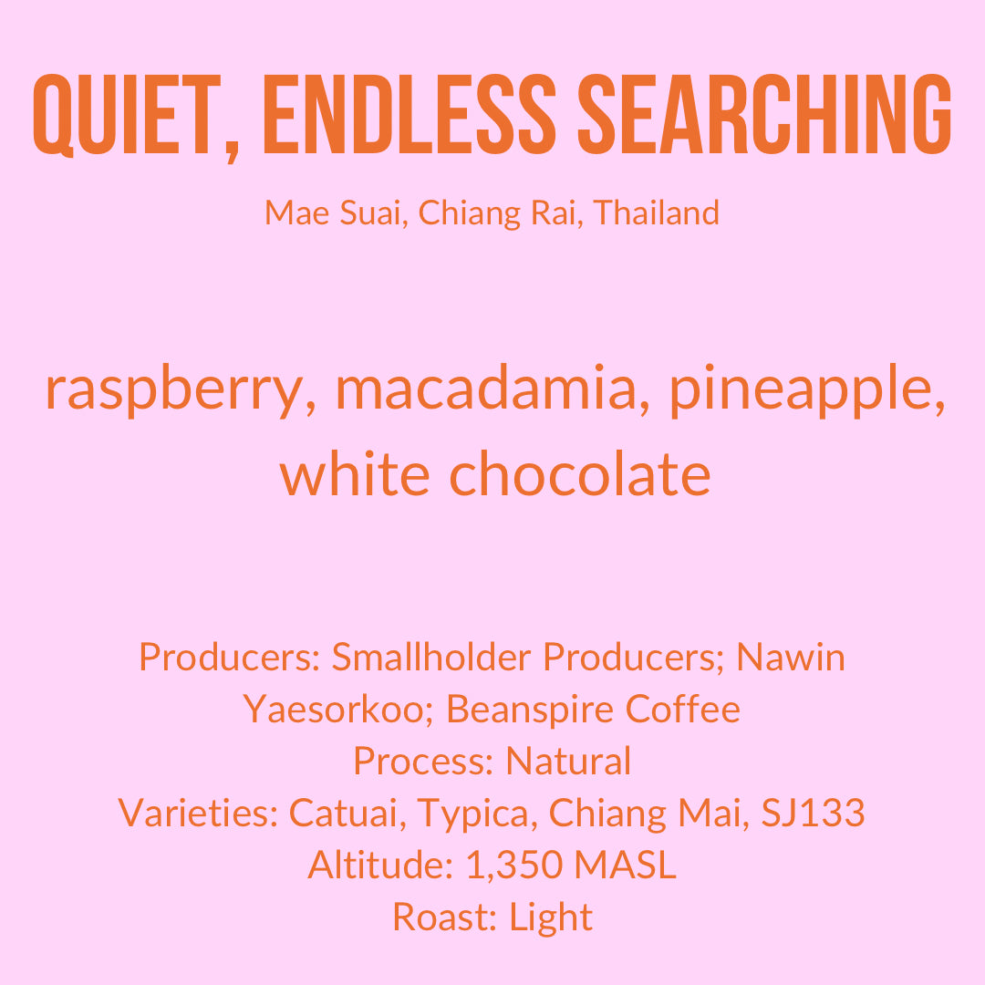 Photo of Quiet Endless Searching, Natural - Thailand
