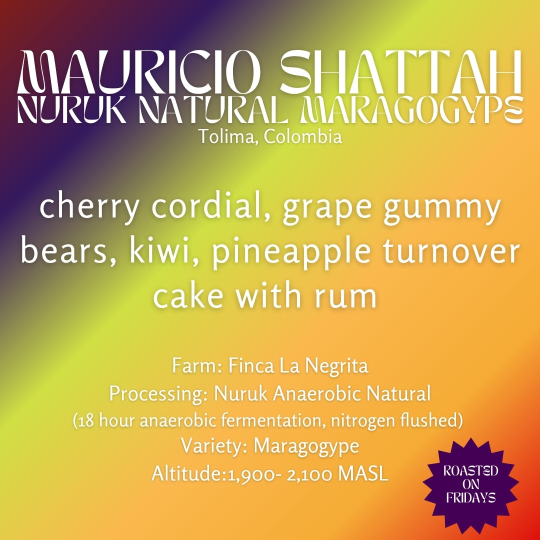Photo of Mauricio Shattah - Maragogype Nuruk Fermentation - Colombia