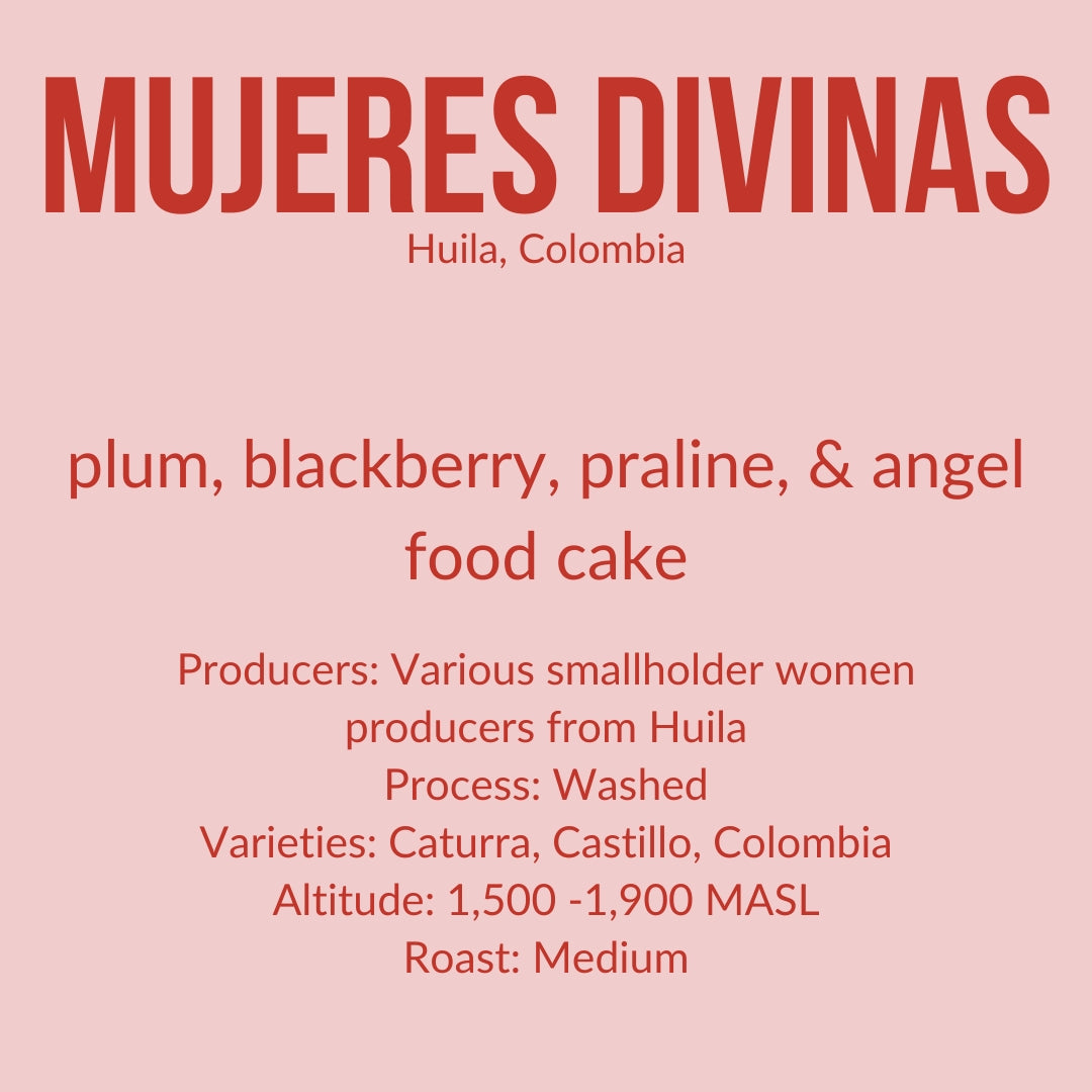 Photo of Mujeres Divinas - Colombia