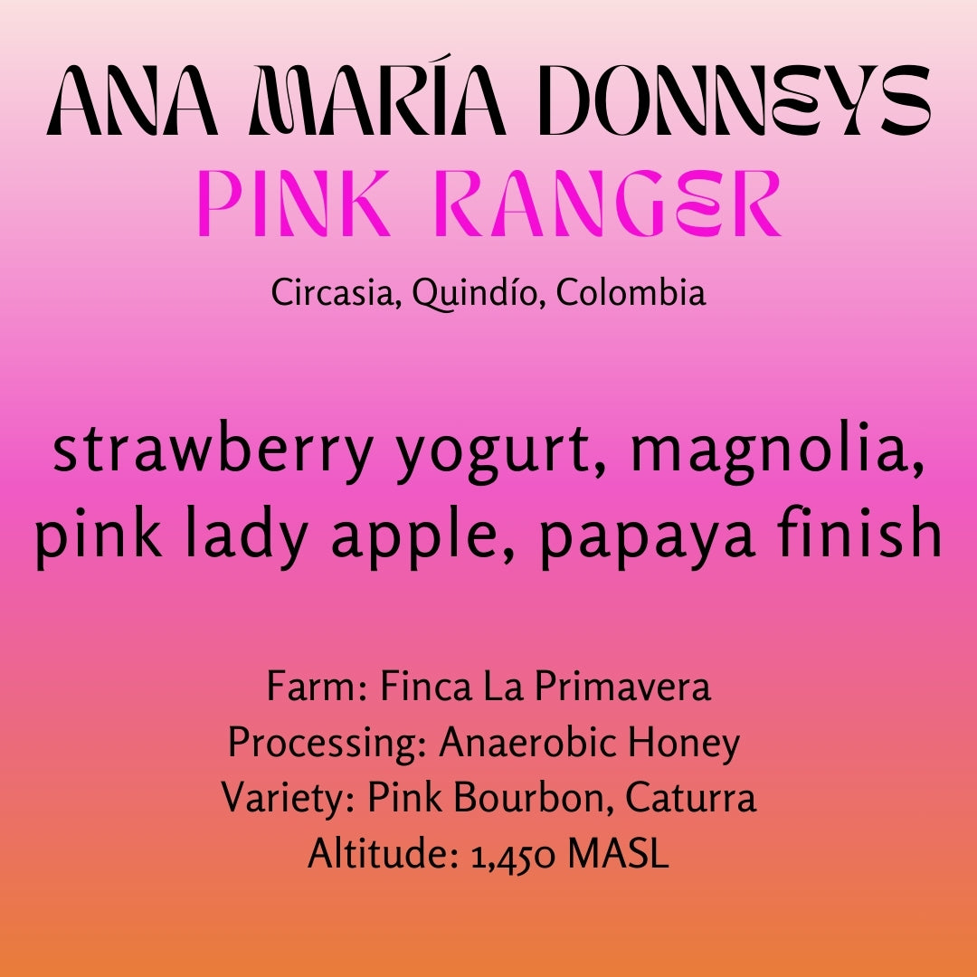 Photo of Ana María Donneys, Pink Ranger