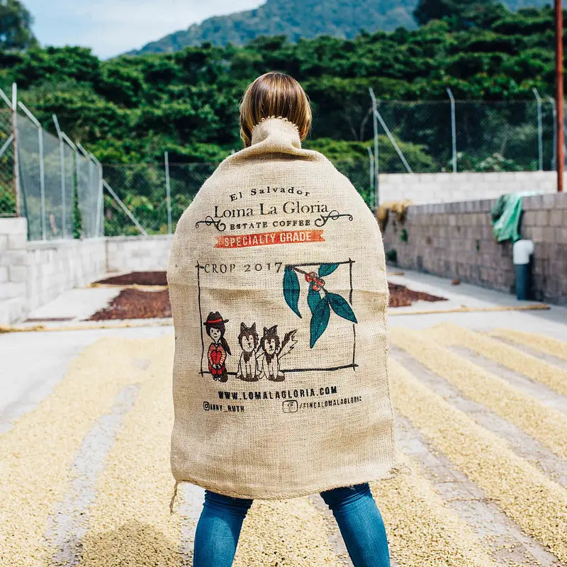 Loma La Gloria - Unicorn - Natural - El Salvador image 2