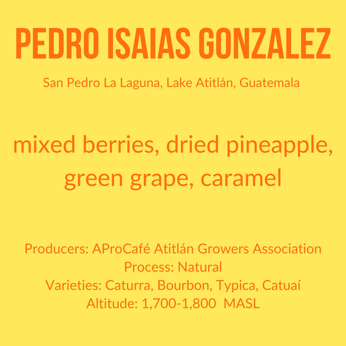 Photo of Pedro Isaías Gonzalez - Natural - Guatemala