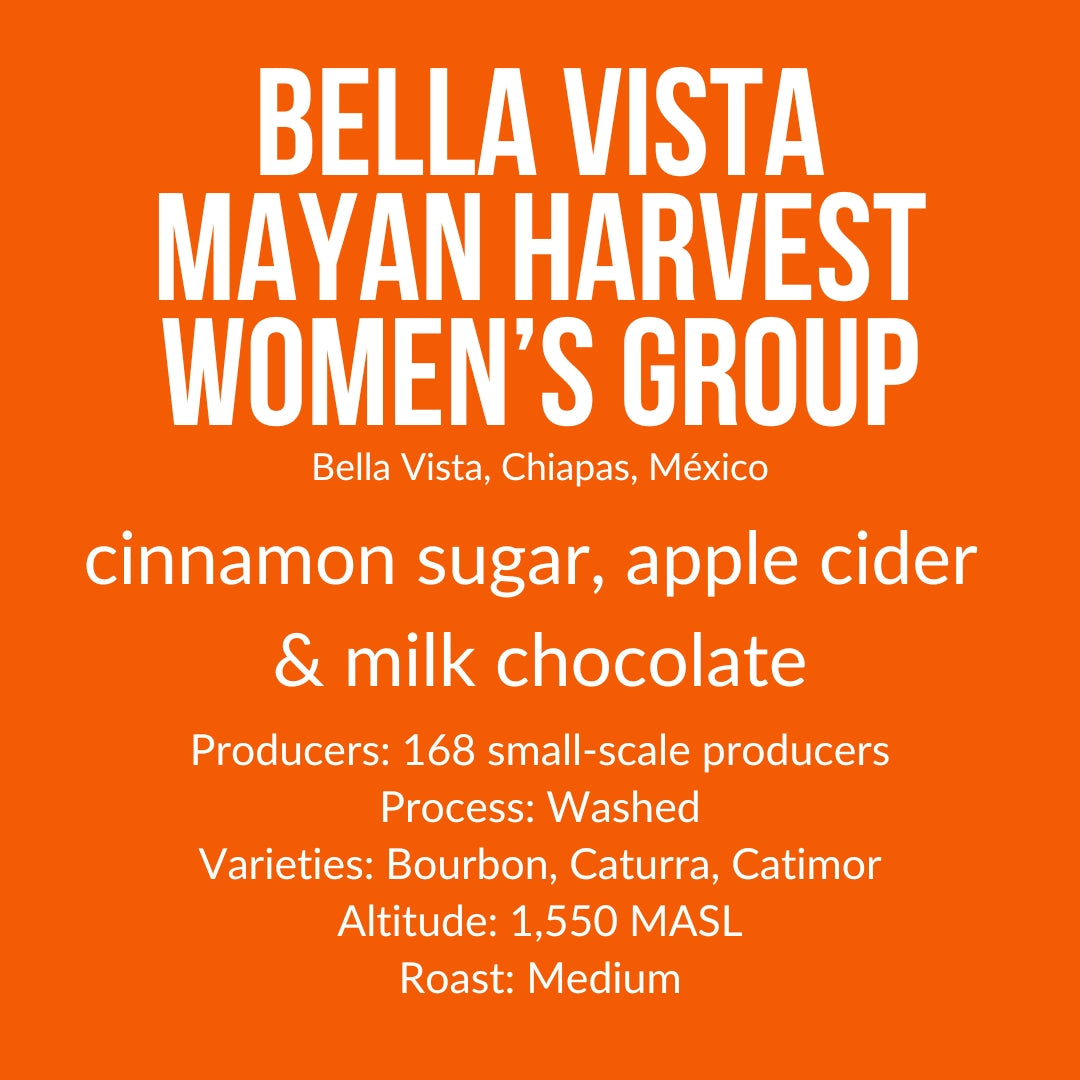 Photo of Bella Vista Mayan Harvest Women's Group, Mexico