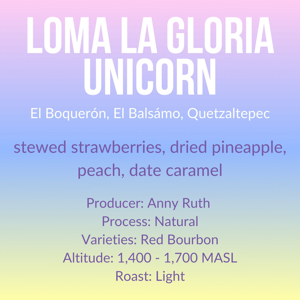 Loma La Gloria - Unicorn - Natural - El Salvador