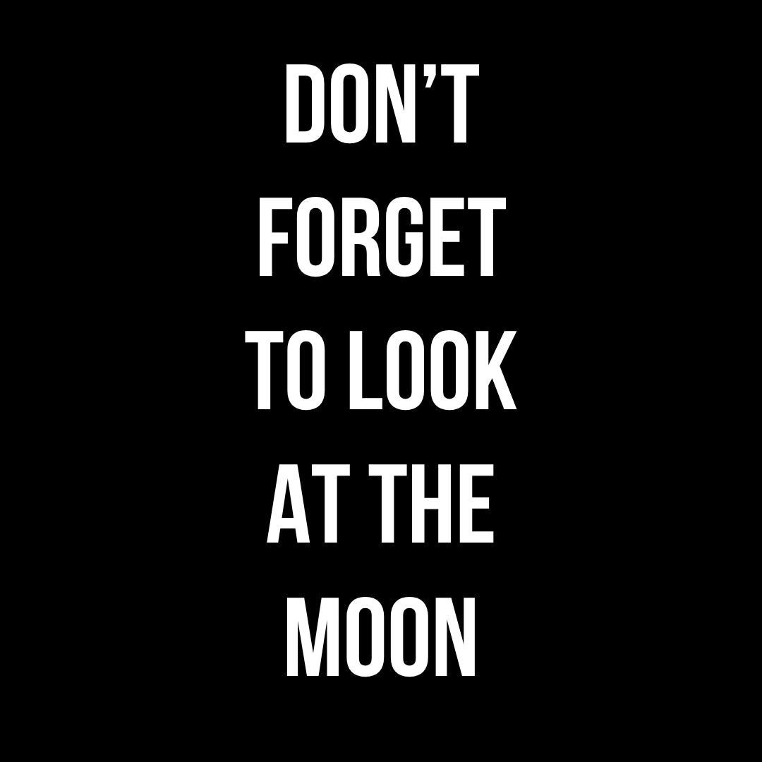 Don't Forget to Look at the Moon
