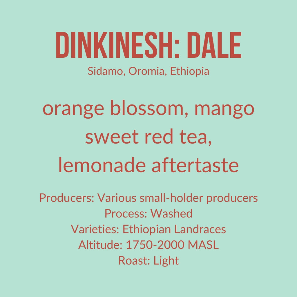 Dinkinesh: Dale, Ethiopia