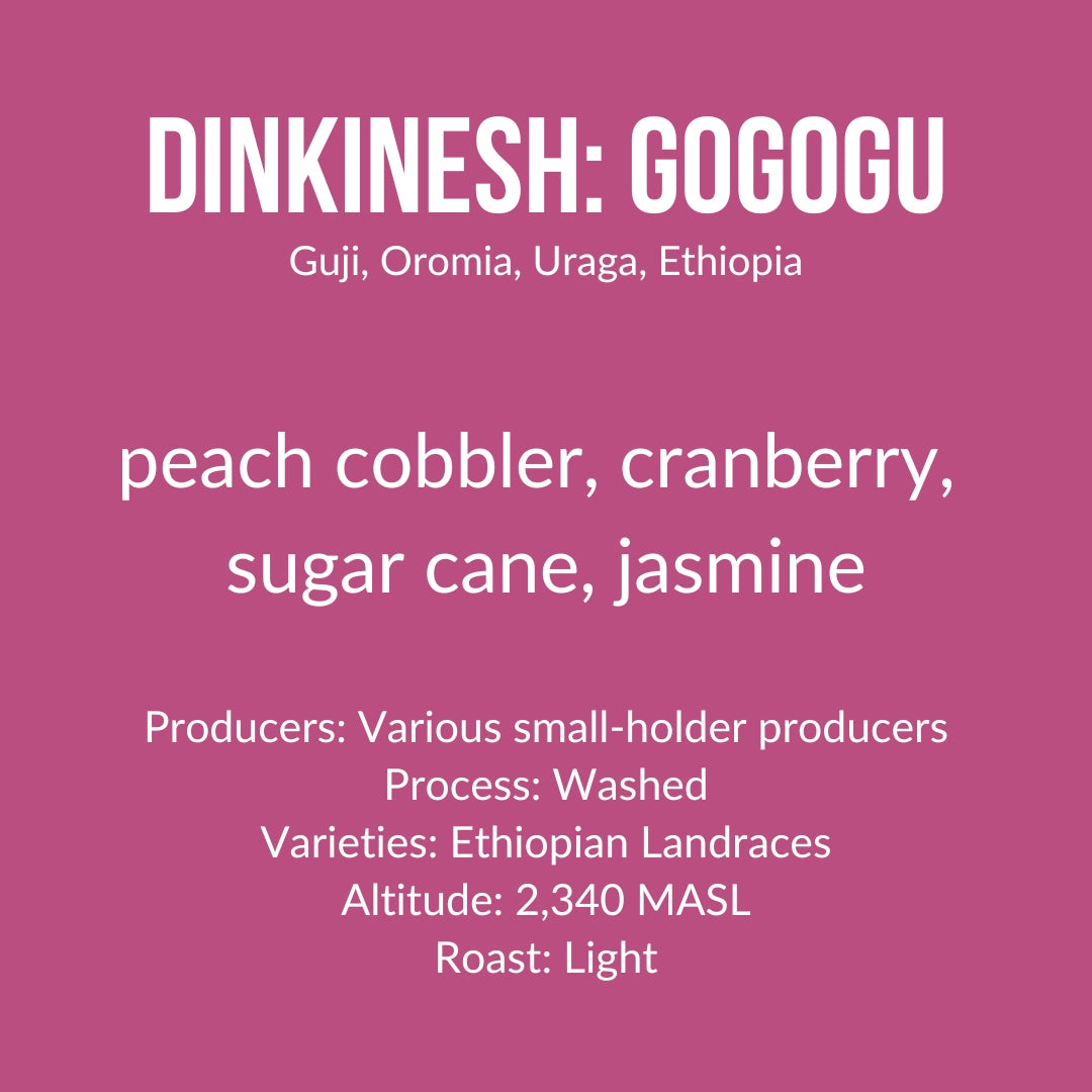 Dinkinesh: Gogogu, Ethiopia