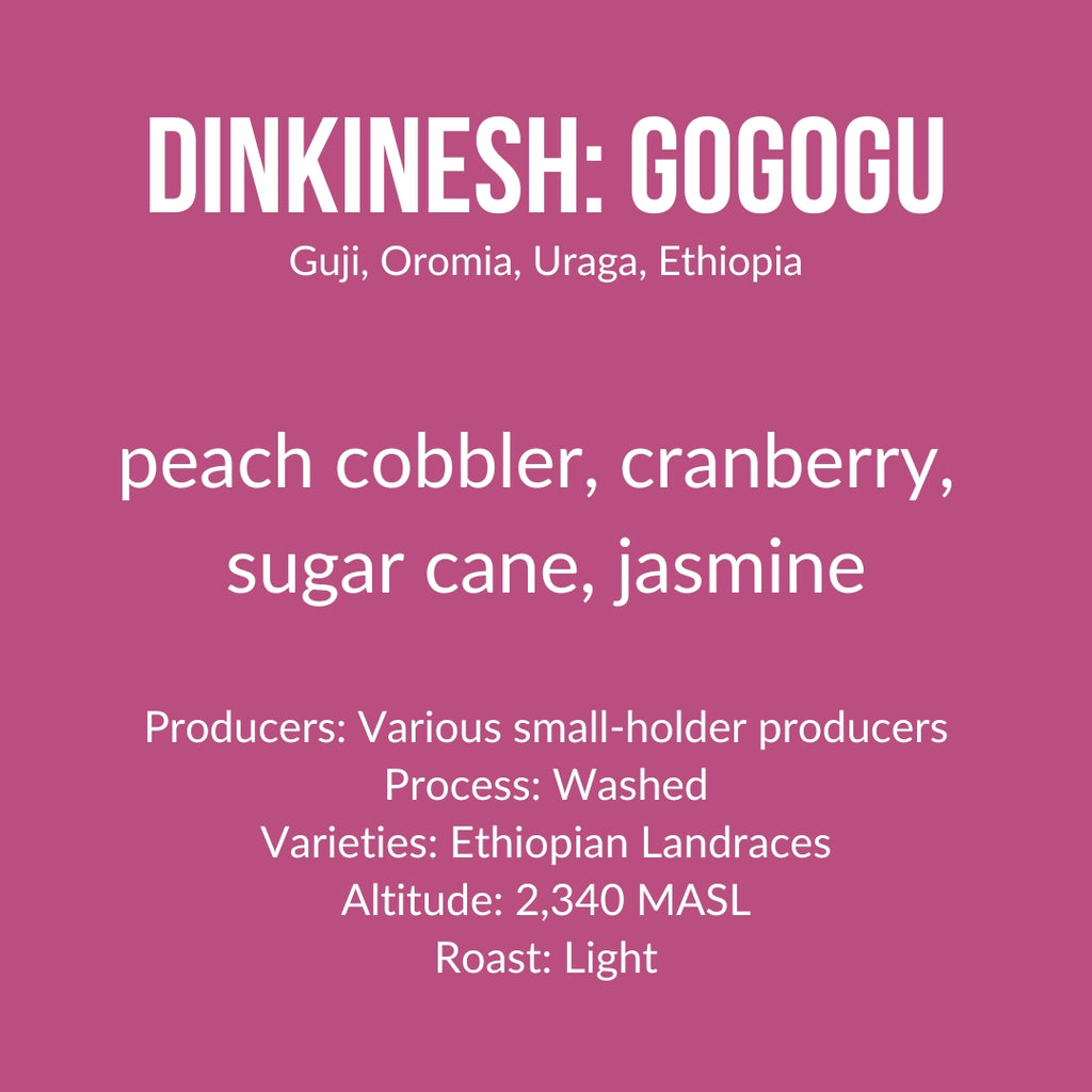 Dinkinesh: Gogogu, Ethiopia