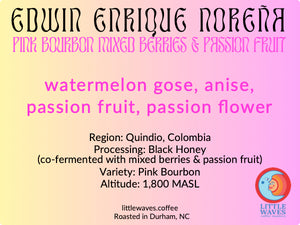 Edwin Enrique Noreña Pink Bourbon - MZ - Colombia