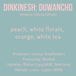 Dinkinesh: Duwancho, Ethiopia