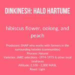 Dinkinesh: Halo Hartume, Ethiopia