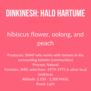 Dinkinesh: Halo Hartume, Ethiopia