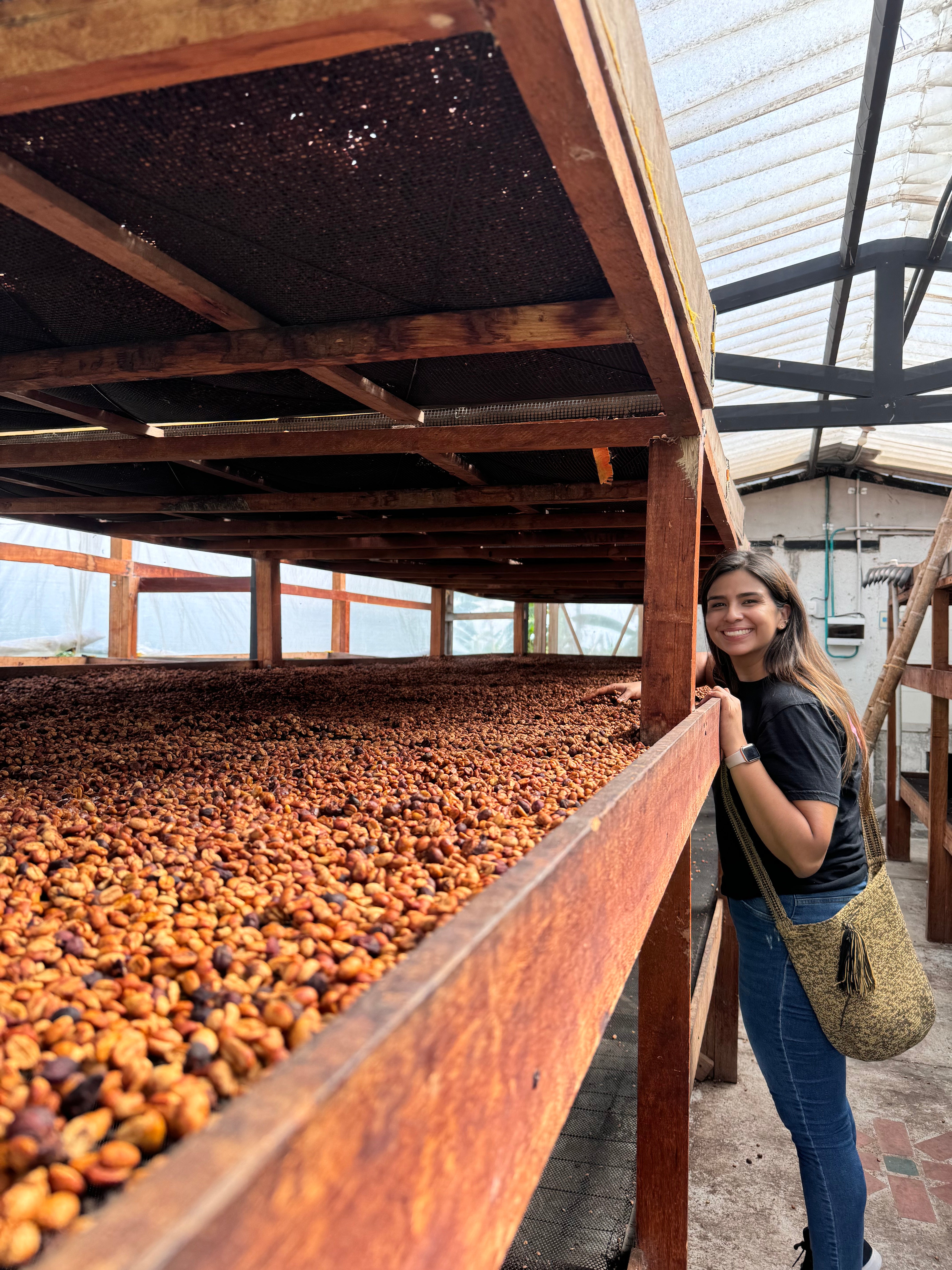 Ana María Donneys, Wine Honey Caturra - Colombia