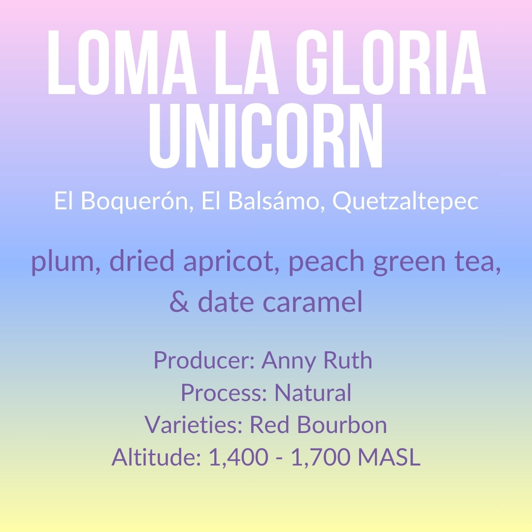 Loma La Gloria - Unicorn - Natural - El Salvador image 3