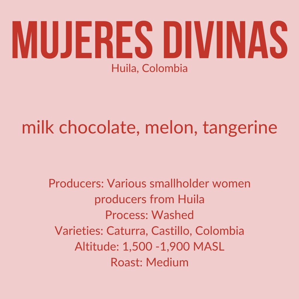 Mujeres Divinas - Colombia