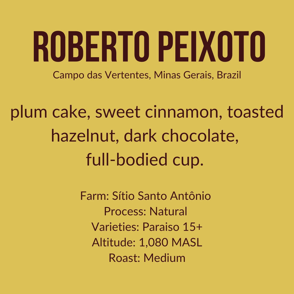 Roberto Peixoto, Brazil