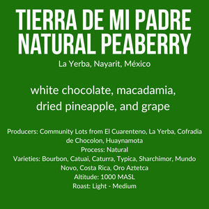 Tierra de Mi Padre, Natural Peaberry, Mexico