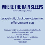 Where the Rain Sleeps, Gondo AB, Kenya