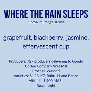 Where the Rain Sleeps, Gondo AB, Kenya