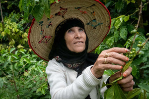 Best of Yemen Lot #17 Al Oqabi Women Farmers - Yemenia Natural - Yemen