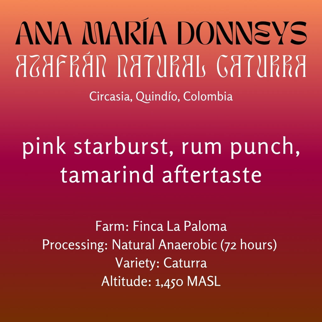Ana María Donneys, Azafrán Natural Caturra - Colombia