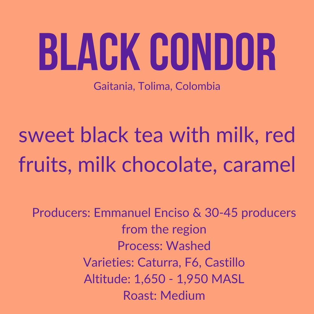 Photo of Black Condor, Colombia