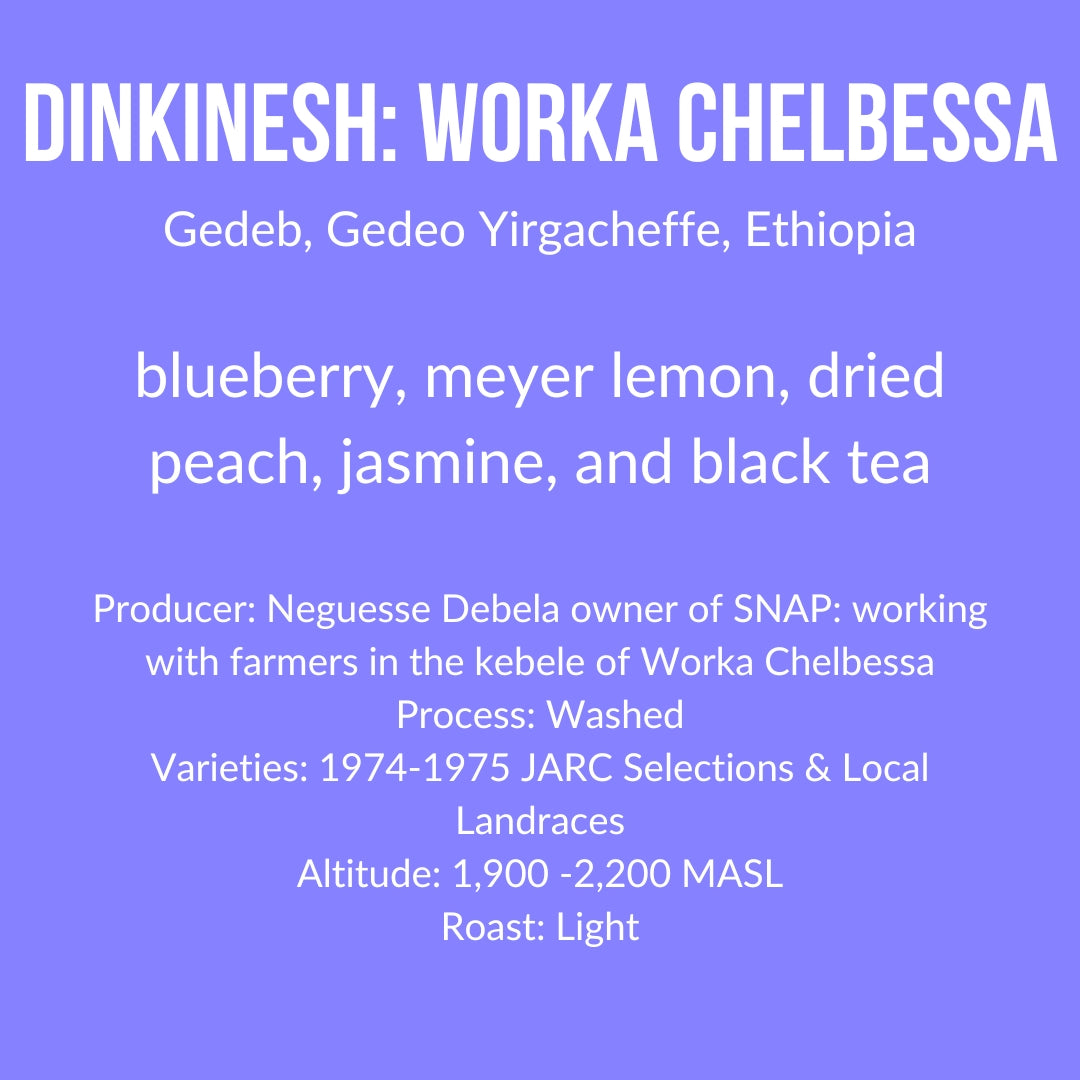 Photo of Dinkinesh: Worka Chelbessa