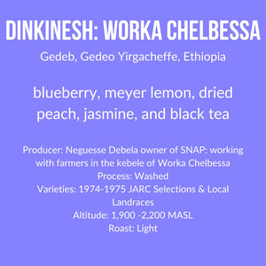 Dinkinesh: Worka Chelbessa, Ethiopia