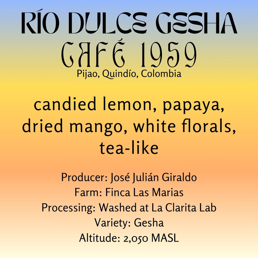 STANDART X LWCR - Río Dulce Gesha - José Julián Giraldo, Cafe 1959 - Colombia